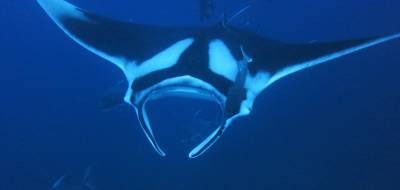b2ap3_thumbnail_Khaolak-scuba-diving-thailand-padi-course-11.JPG