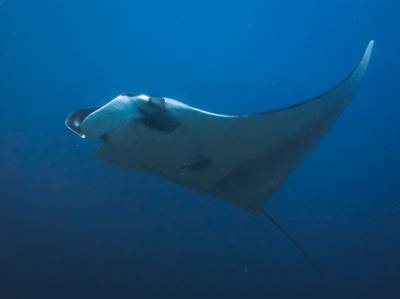 b2ap3_thumbnail_Khaolak-scuba-diving-thailand-padi-course-122_20140709-184844_1.jpg