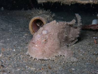 b2ap3_thumbnail_Khaolak-scuba-diving-thailand-padi-course-126_20140709-184850_1.jpg