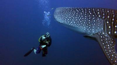 b2ap3_thumbnail_Khaolak-scuba-diving-thailand-padi-course-23.JPG