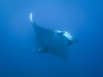b2ap3_thumbnail_Khaolak-scuba-diving-thailand-padi-course-240_20140709-185146_1.jpg