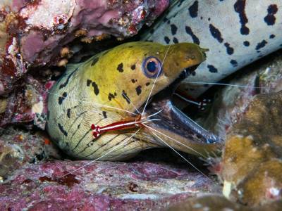b2ap3_thumbnail_Khaolak-scuba-diving-thailand-padi-course-244.jpg