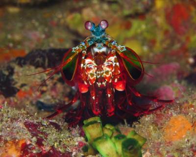 b2ap3_thumbnail_Khaolak-scuba-diving-thailand-padi-course-86_20140709-184638_1.JPG