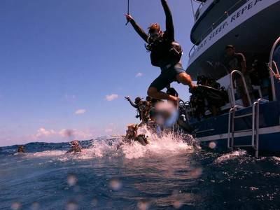 b2ap3_thumbnail_Similan-Dive-Manta-Queen-3-Trip-145-2.jpg