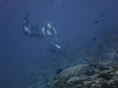 b2ap3_thumbnail_Thailand-dive-Manta-Queen-6-wow-what-a-Manta-Trip-7.jpg