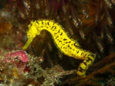b2ap3_thumbnail_Thailand-dive-Trip-162-2.jpg