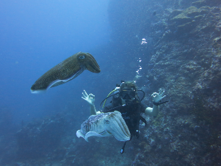 b2ap3_thumbnail_Thailand-diving-adventure-5.png
