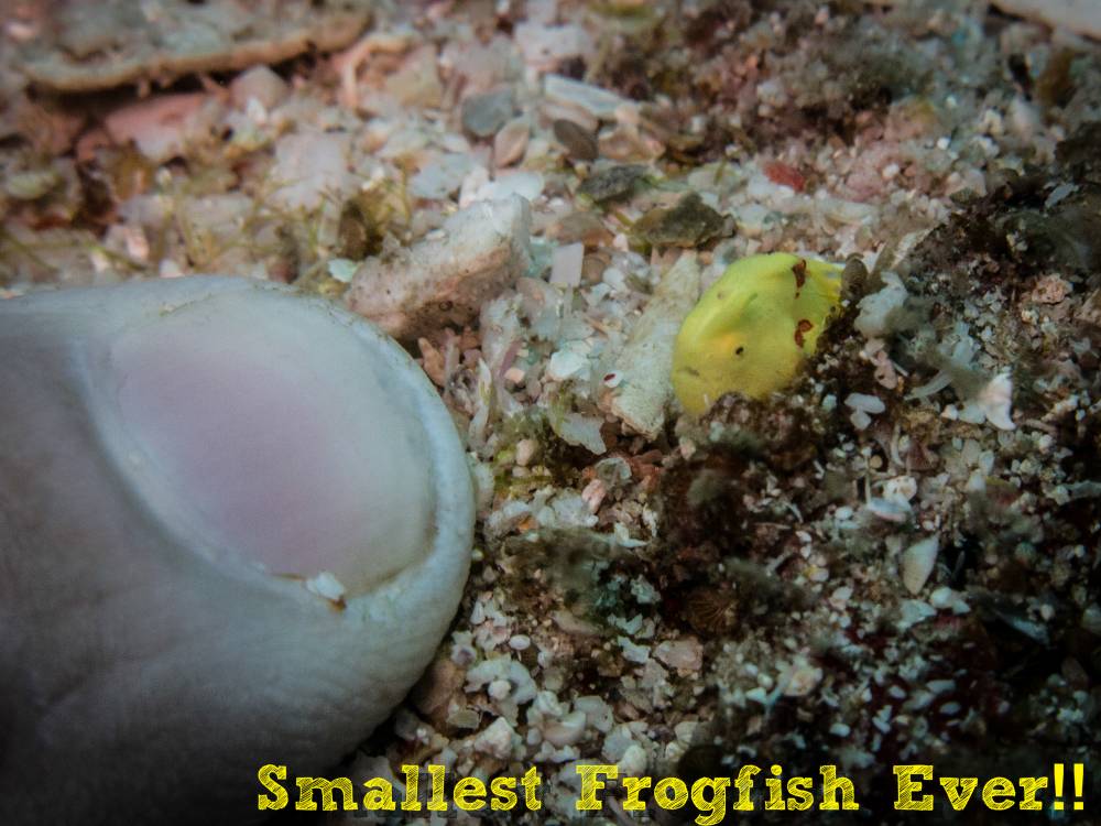 a1sx2_Thumbnail1_Trip33a-1-3.jpg