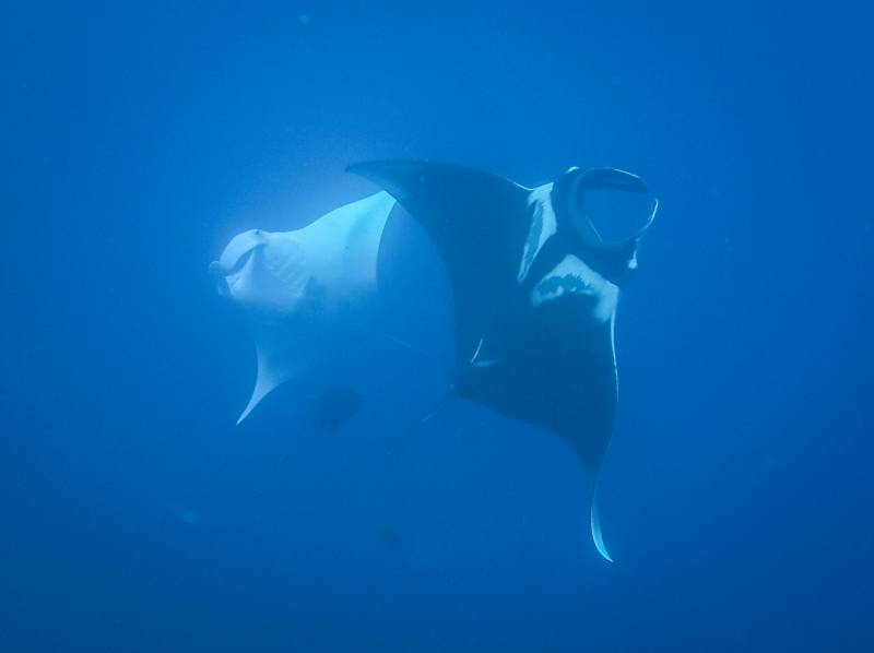 a1sx2_Thumbnail1_Trip34-34.jpg