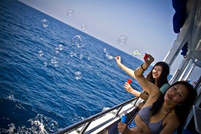 b2ap3_thumbnail_IMG_0802.JPG