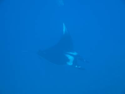 b2ap3_thumbnail_Trip29-21.jpg