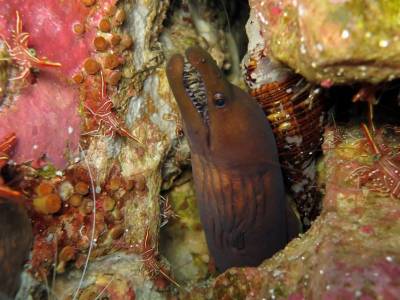 b2ap3_thumbnail_Mergui-Archipelago-Burma---Western-Rocky-The-Pinnacles-4.JPG