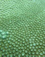 b2ap3_thumbnail_IMG_1980.JPG