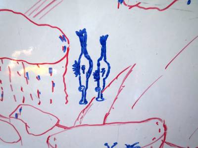 b2ap3_thumbnail_IMG_3733.JPG